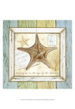 Sea Treasures XII