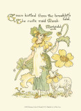 Shakespeare's Garden IX (Marigold)