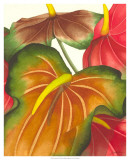 Buy Anthuria I at AllPosters.com