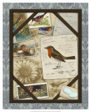 Bird Watching IV