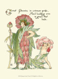 Buy Shakespeare's Garden V (Peony) at AllPosters.com