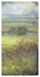 Buy Shimmering Marsh II at AllPosters.com