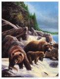 Buy Grizzlies by Falls at AllPosters.com