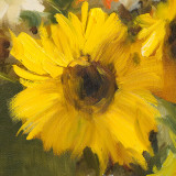 Sunflowers Square I
