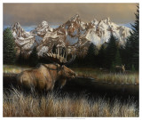 Teton Majesty