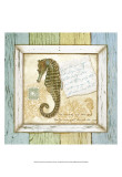 Sea Treasures X