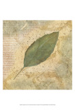 Buy Antiqued Leaves IV at AllPosters.com