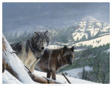 Buy Vantage Point III at AllPosters.com