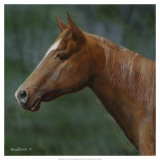 Buy Quarter Horse at AllPosters.com
