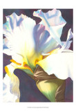 Buy Blue Iris I at AllPosters.com