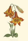 Buy Vibrant Blooms III at AllPosters.com