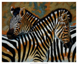Zebras