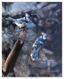 Buy A Touch of Blue at AllPosters.com