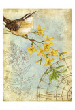 Buy Songbird Sketchbook I at AllPosters.com