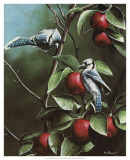 Buy Summer Blue Jays at AllPosters.com
