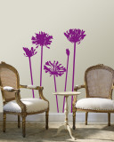 Purple Agapanthus