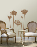 Taupe Agapanthus
