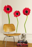 Red Poppies