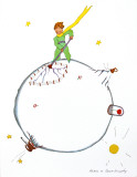Petit Prince et ses Volcans