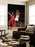 Miami Heat v Chicago Bulls - Game Five, Chicago, IL - MAY 26: Derrick Rose and Mike Bibby