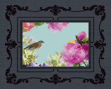 Buy Rococo Birds I at AllPosters.com