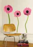 Buy Pink Poppies at AllPosters.com