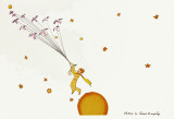 Petit Prince et les Oiseaux Sauvages