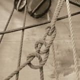 Buy Nautical Aspect V at AllPosters.com