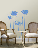 Blue Agapanthus