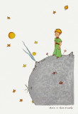 Petit Prince et son Asteroide B 612