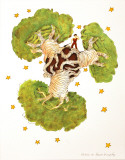 The Baobab Tree