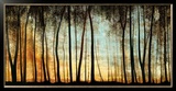 Golden Forest