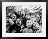 Wide Range of Facial Expressions on Children at Puppet Show the Moment the Dragon is Slain