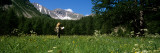 Female Hiker Holding a Map in the Forest, Hinterland, French Riviera, Provence-Alpes-Cote D