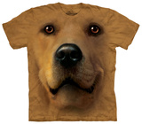 Buy Golden Face at AllPosters.com