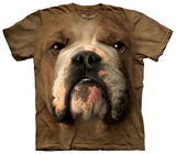 Buy Bulldog Face at AllPosters.com