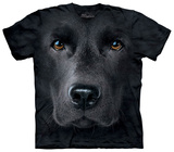 Black Lab Face
