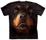 Buy Rotweiller Face at AllPosters.com