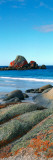 Rock Formations on the Coast, Picnic Rocks, Mt William National Park, Tasmania, Australia