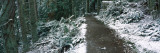 Trail Passing Through a Forest, Deception Pass State Park, Whidbey Island, Washington