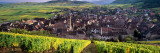 High Angle View of a Village, Riquewihr, Alsace, France