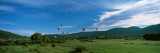 Hot Air Balloons Rising, Hot Air Balloon Rodeo, Steamboat Springs, Routt County, Colorado, USA
