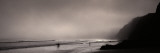 Surfers on the Beach, Point Reyes National Seashore, Marin County, California, USA