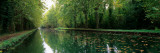 Buy Reflection of Trees in a Canal, Rhone-Rhine Canal, Alsace, France at AllPosters.com