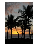 Sunset Silhouette in Maui
