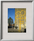 Double Yellow Flower