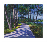Avenue of Pines