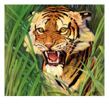 Buy "Snarling Tiger," April 19, 1941 at AllPosters.com