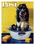 Buy "Butch Gets a Bath," Saturday Evening Post Cover, May 11, 1946 at AllPosters.com