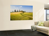 Tuscan Villa Nearing Harvest, Tuscany, Italy